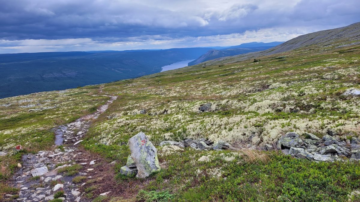 Ser tilbake mot Engeren